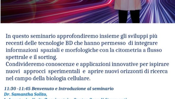Seminario BD Università di Pavia 24 giugno ppt